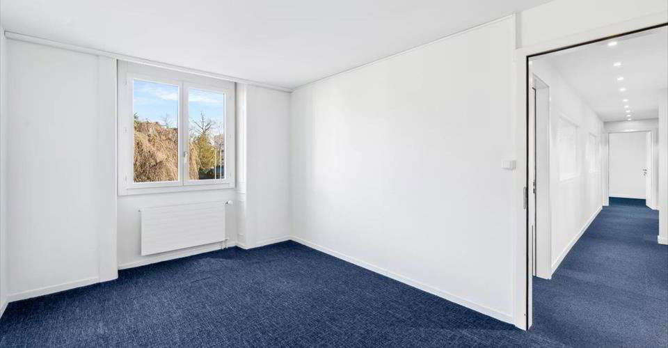null Zimmer Büro zu vermieten in Genève - Bild 1/13