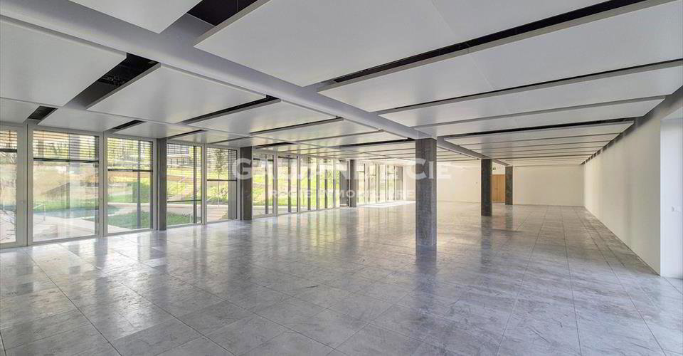 Ufficio & Commercio di null locali in affitto a Bussigny - immagine 1/4