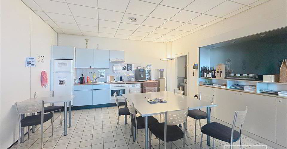 Ufficio & Commercio di null locali in affitto a Crissier - immagine 1/12