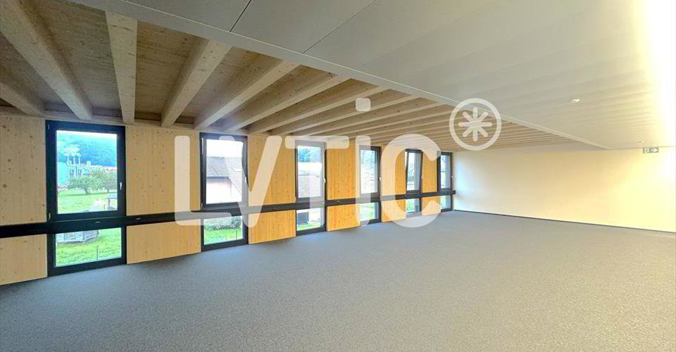 Ufficio & Commercio di null locali in affitto a Châtel-St-Denis - immagine 1/11