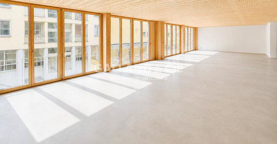 null rooms Office & Commercial for rent in Lausanne - image 1/5