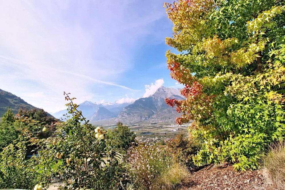 3.5 rooms House to buy in Baar (Nendaz) - image 1/16