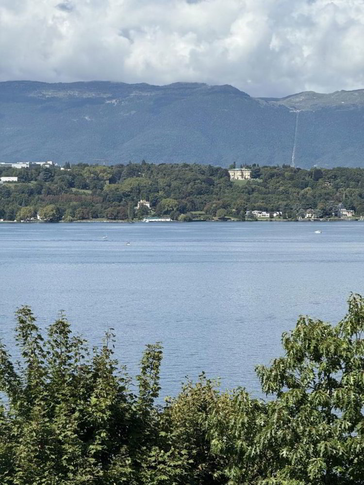 Appartamento di 10 locali in vendita a Cologny - immagine 1/1