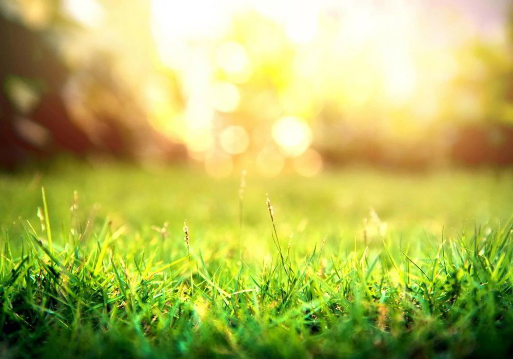 Terreno di null locali in vendita a Choëx - immagine 1/2