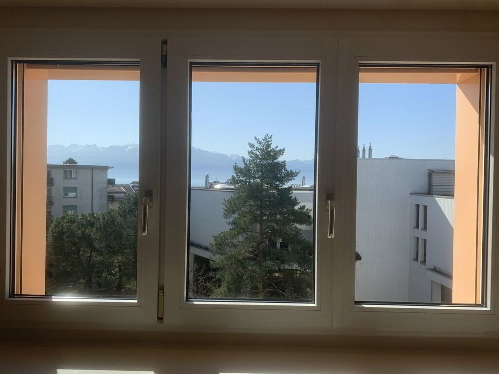 Appartamento di 1 locali in affitto a Lausanne - immagine 1/5