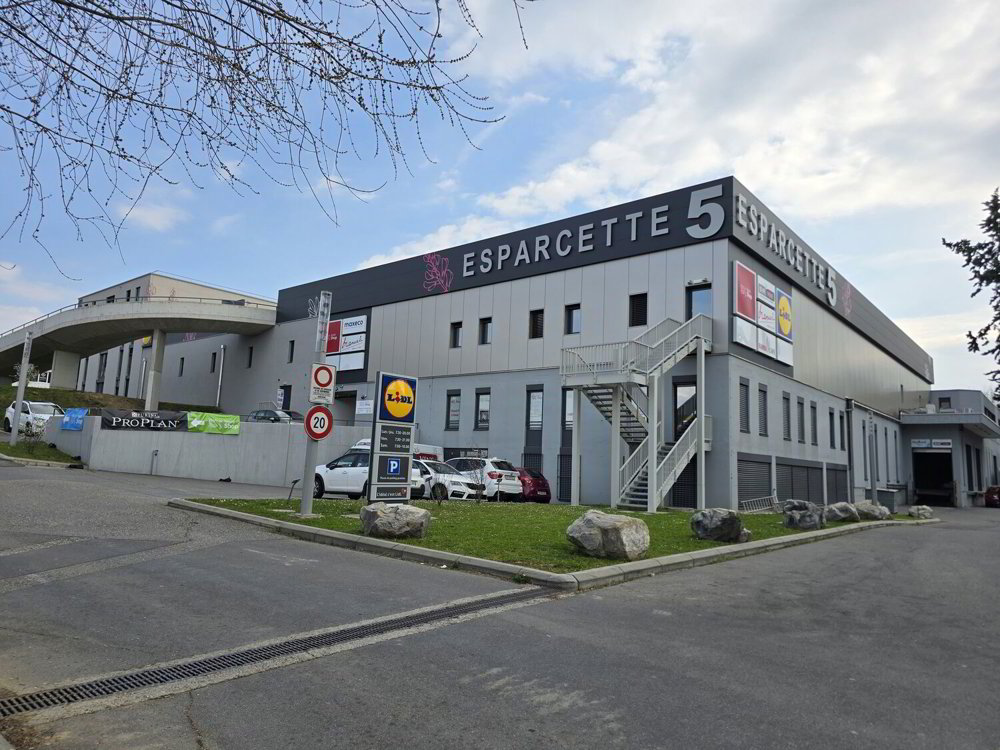 Ufficio & Commercio di null locali in affitto a Crissier - immagine 1/4
