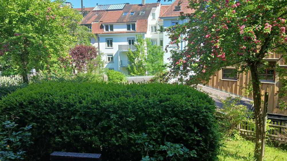Appartamento di 2 locali in affitto a St. Gallen - immagine 1/10