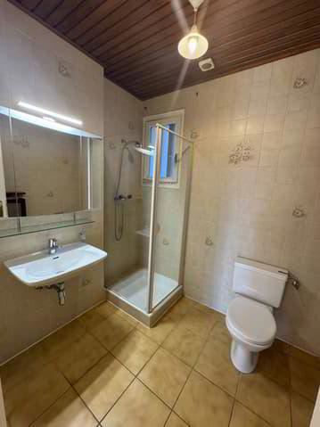 6.5 rooms House for rent in Chambésy - image 1/12