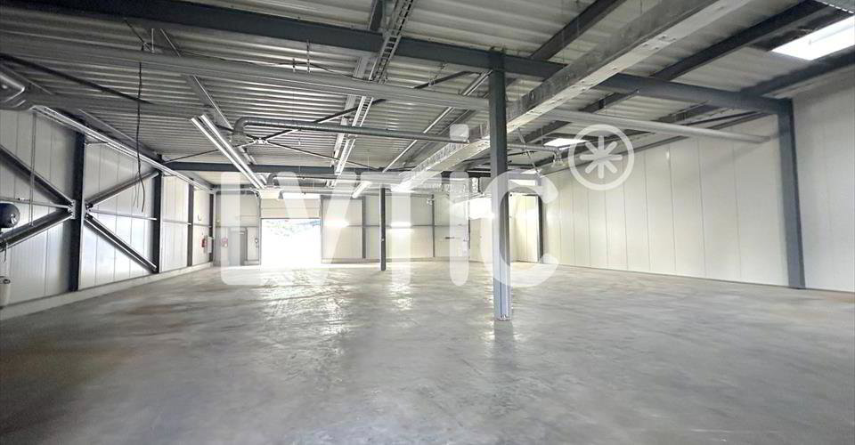 Ufficio & Commercio di null locali in affitto a Villeneuve VD - immagine 1/8