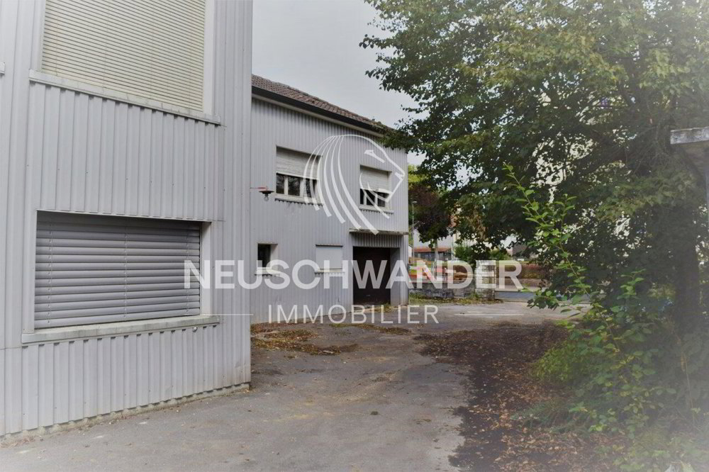 Bureau & Commerce null pièces à acheter à Porrentruy - image 1/6