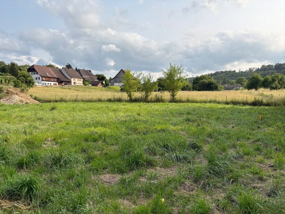 Terreno di null locali in vendita a Coeuve - immagine 1/1