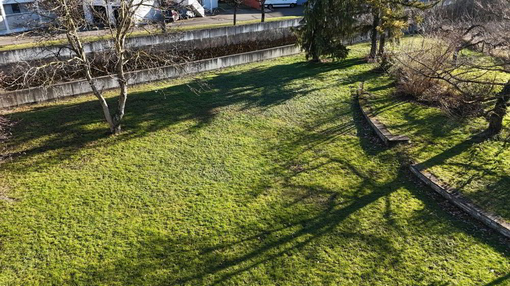 Terreno di null locali in vendita a Delémont - immagine 1/3