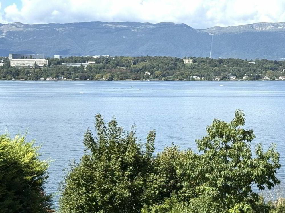 Appartamento di 10 locali in vendita a Cologny - immagine 1/4