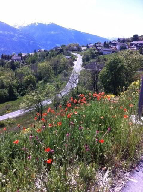 Terreno di null locali in vendita a Mollens VS - immagine 1/3