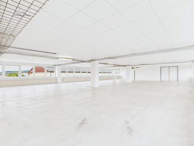 Ufficio & Commercio di null locali in affitto a Murten - immagine 1/13