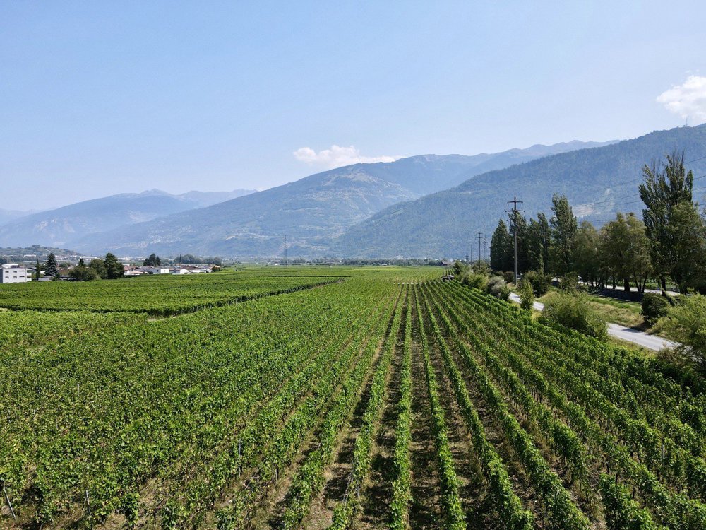 Appartamento di 3 locali in vendita a Vétroz - immagine 1/7