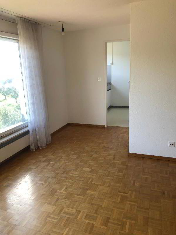 2 rooms Apartment for rent in Wangen SZ - image 1/1
