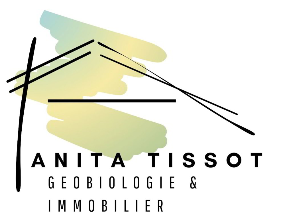 Ufficio & Commercio di 1 locali in vendita a Martigny - immagine 1/13