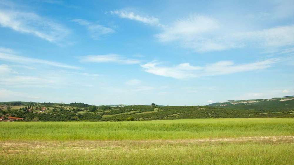 Terreno di null locali in vendita a Vucherens - immagine 1/1
