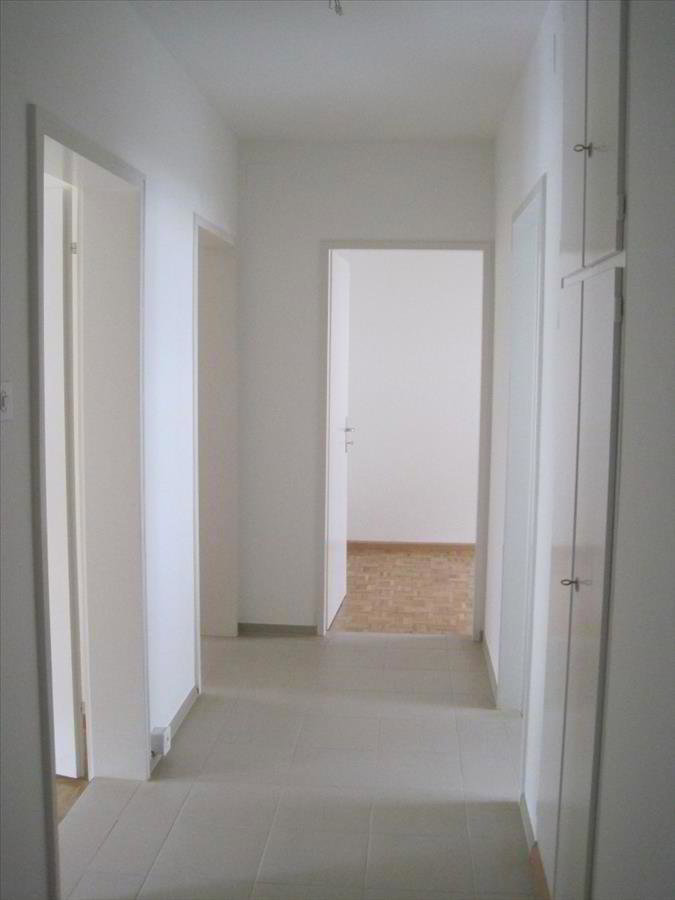 2 rooms Apartment for rent in Riehen - image 1/6