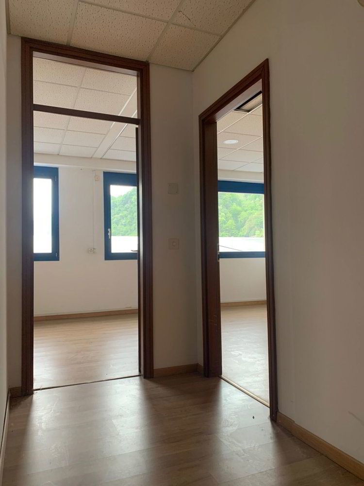 Ufficio & Commercio di null locali in affitto a Barbengo - immagine 1/18