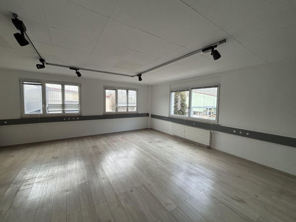 null rooms Office & Commercial for rent in Villeneuve VD - image 1/5