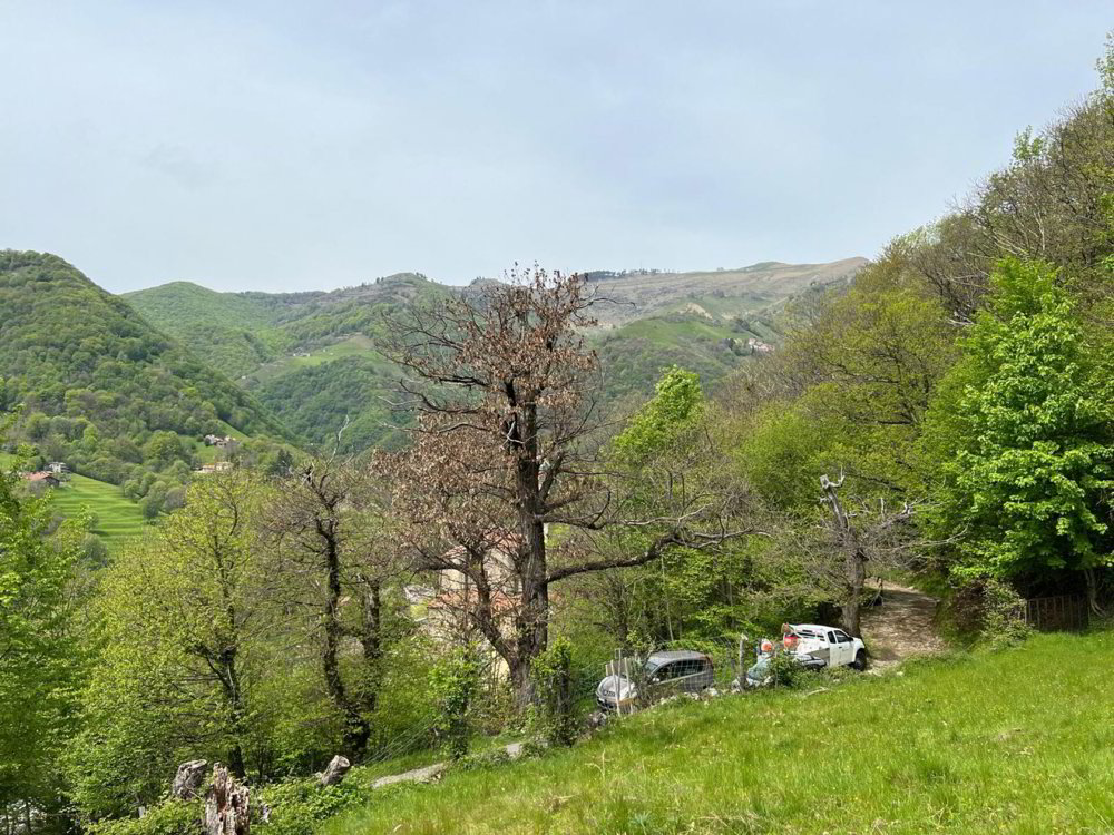 Altro di null locali in vendita a Muggio - immagine 1/2