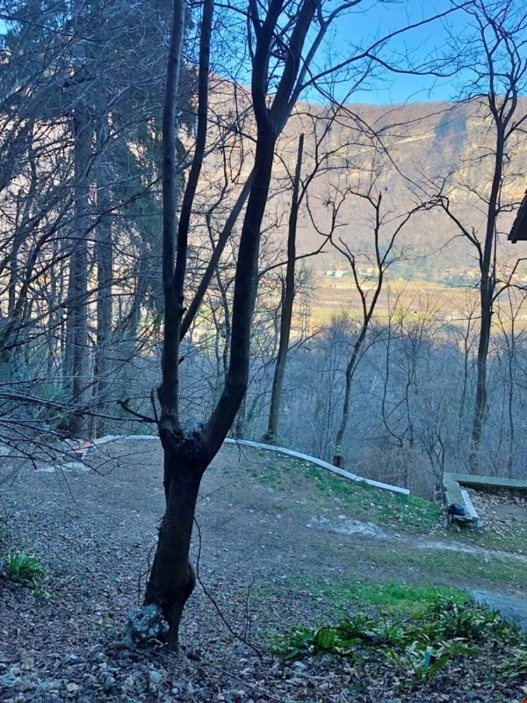 Terreno di null locali in vendita a Rancate - immagine 1/5