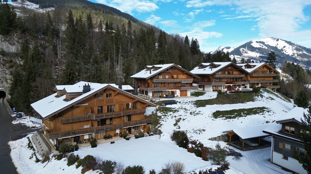 5 Zimmer Wohnung zum verkaufen in Château-d'Oex - Bild 1/12
