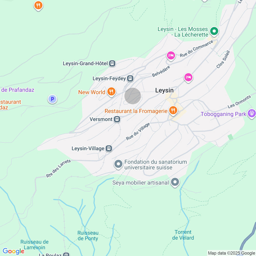 Appartamento di 2 locali in vendita a Leysin - immagine 1/10