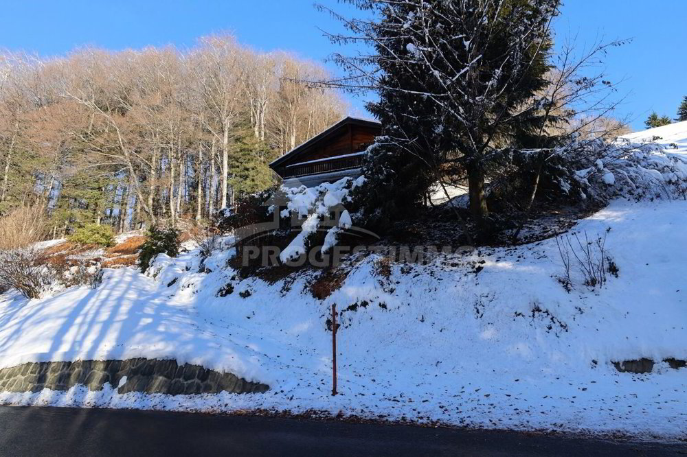 4.5 Zimmer Haus zum verkaufen in Gryon - Bild 1/11