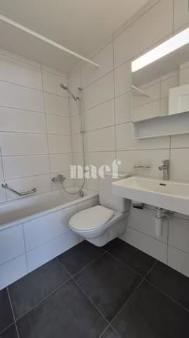 3.5 Zimmer Wohnung zu vermieten in Neuenburg - Bild 1/6