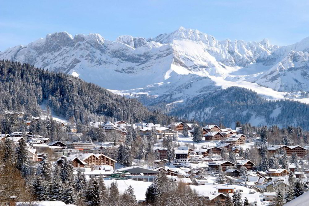 Bureau & Commerce null pièces à acheter à Villars-sur-Ollon - image 1/1