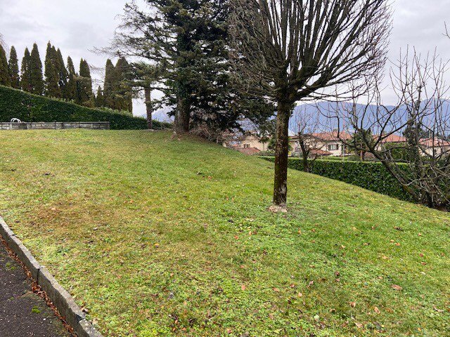 TERRENO EDIFICABILE DI 705 MQ IN ZONA MONTALBANO A STABIO - Ansicht 5