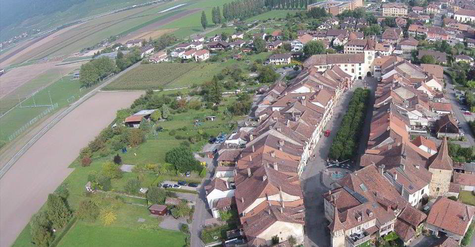 Ufficio & Commercio di null locali in affitto a Le Landeron - immagine 1/5