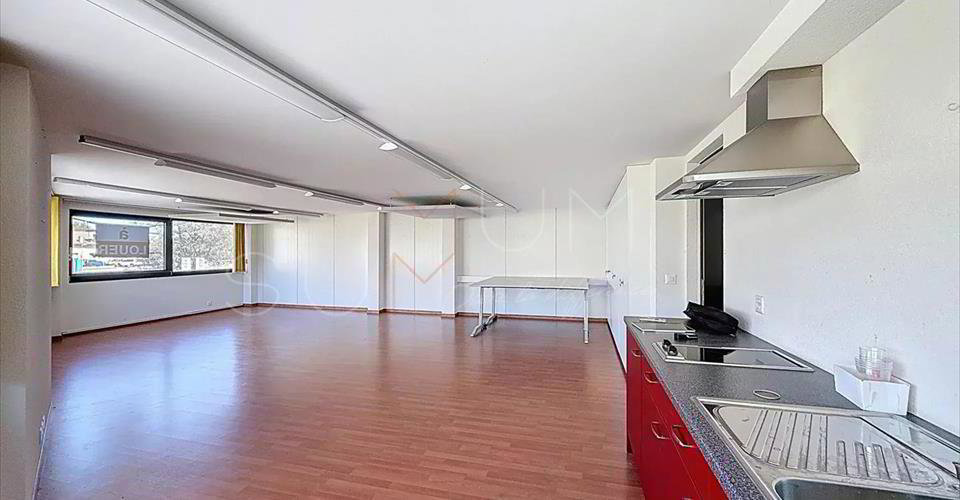 null rooms Office & Commercial for rent in Sion - image 1/7