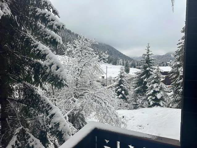 Maison 6.5 pièces à acheter à Morgins - image 1/3