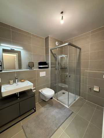 1 Zimmer Wohnung zu vermieten in Chavannes-près-Renens - Bild 1/5