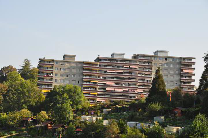 Appartamento di 1 locali in affitto a Fribourg - immagine 1/1