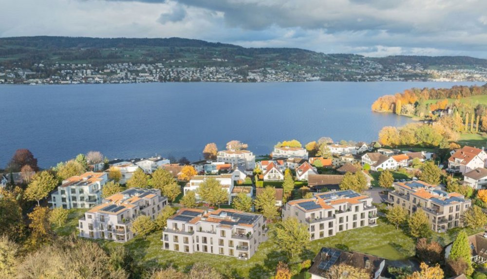 3.5 rooms Apartment for rent in Au ZH - image 1/6