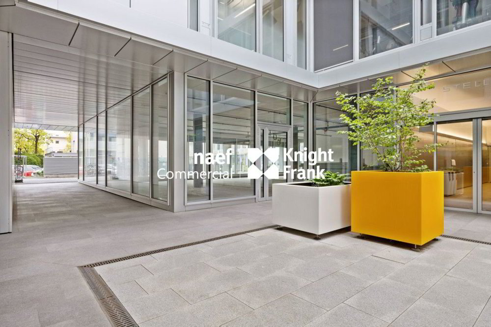 Ufficio & Commercio di null locali in affitto a Plan-les-Ouates - immagine 1/5