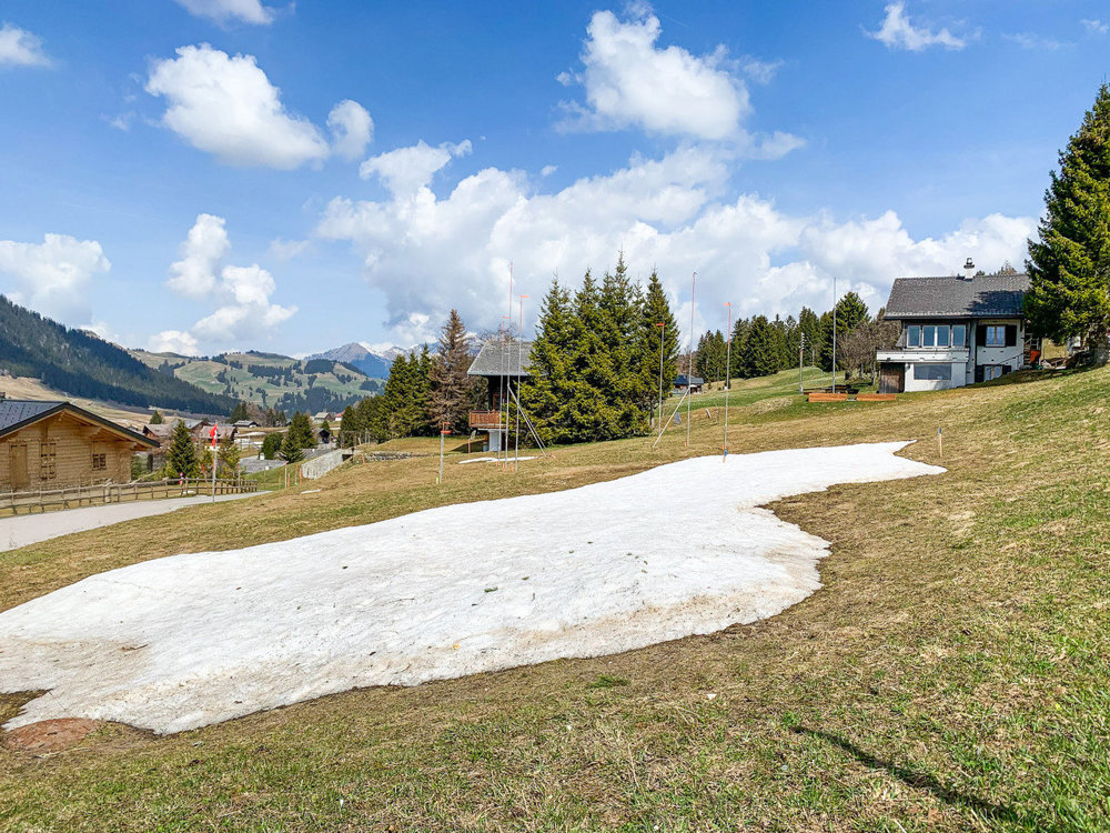 Terreno di null locali in vendita a Les Mosses - immagine 1/6