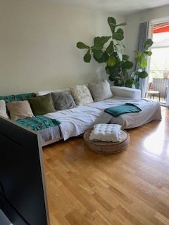 3 rooms Apartment for rent in Zürich - image 1/9