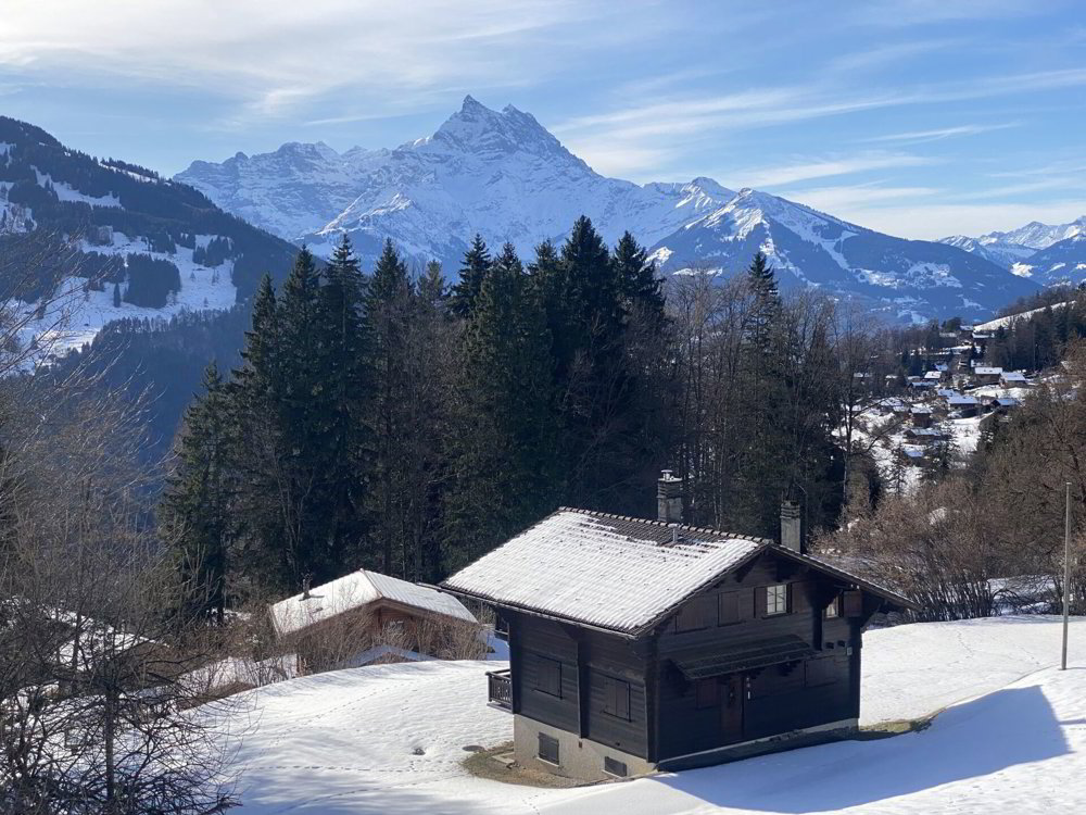 Maison 7 pièces à acheter à Gryon - image 1/23