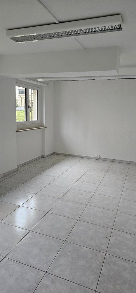 null rooms Office & Commercial for rent in Reinach BL - image 1/4