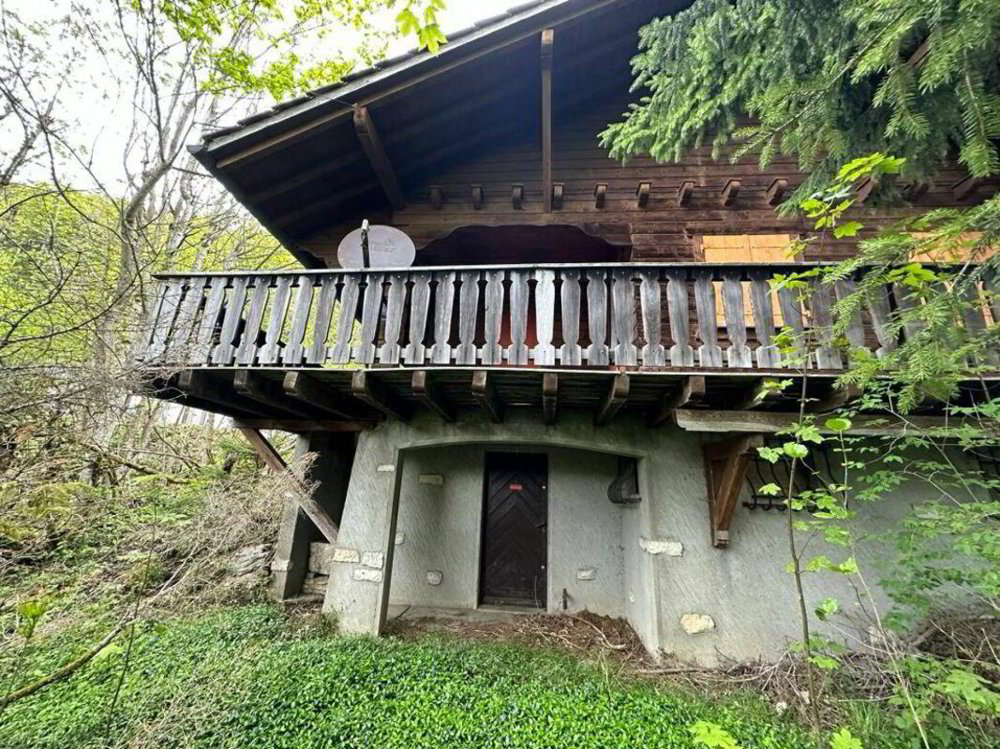null rooms Office & Commercial to buy in St-Cergue - image 1/7