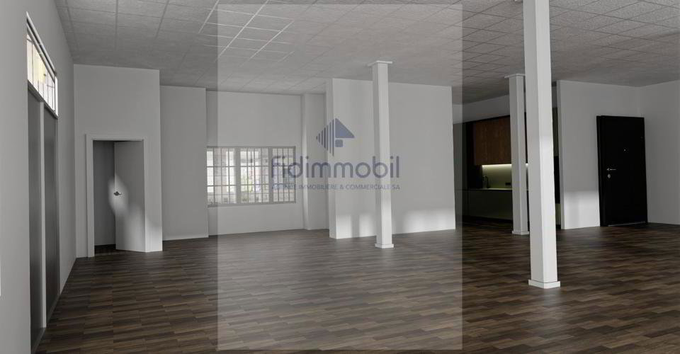 Ufficio & Commercio di null locali in affitto a Neuchâtel - immagine 1/13