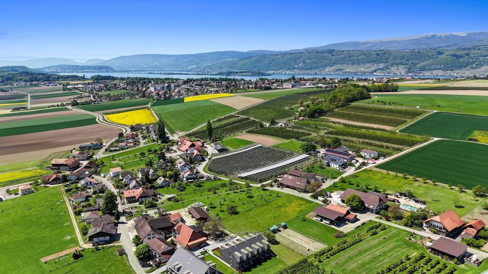 Casa di 5.5 locali in vendita a Epsach - immagine 1/19