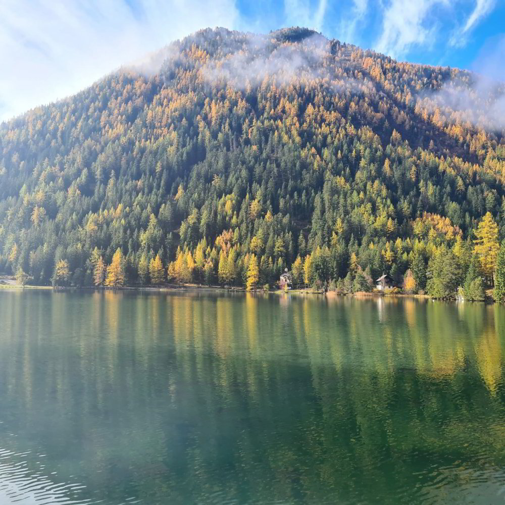 Wohnung – Champex-Lac - Ansicht 2