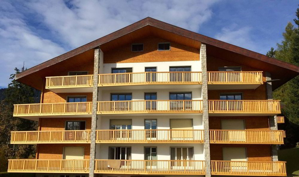 Appartamento di 2 locali in vendita a Villars-sur-Ollon - immagine 1/17